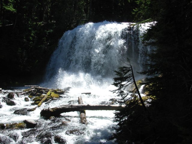 Summer '06 Sunriver 296 